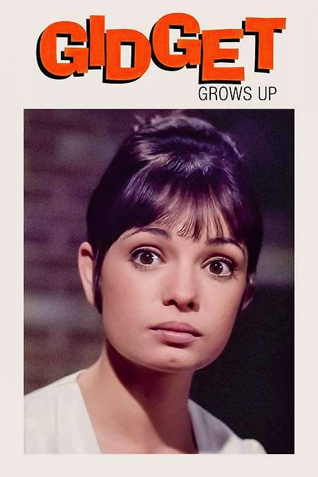 Gidget Grows Up (1969) movie poster