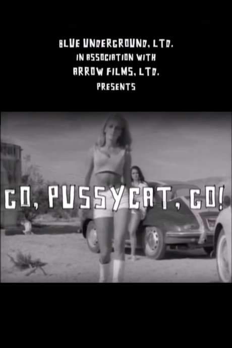 Go, Pussycat, Go! (2005) movie poster