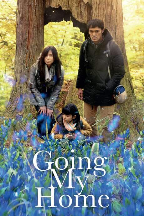 Going My Home (2012) movie poster