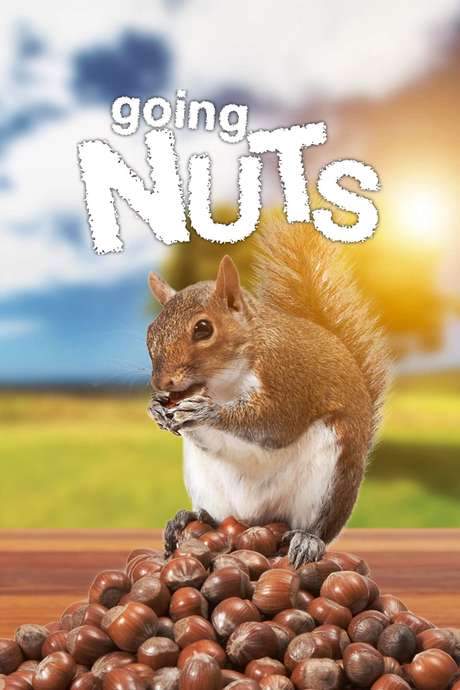 Going Nuts: Tales from the Squirrel World (2019) movie poster