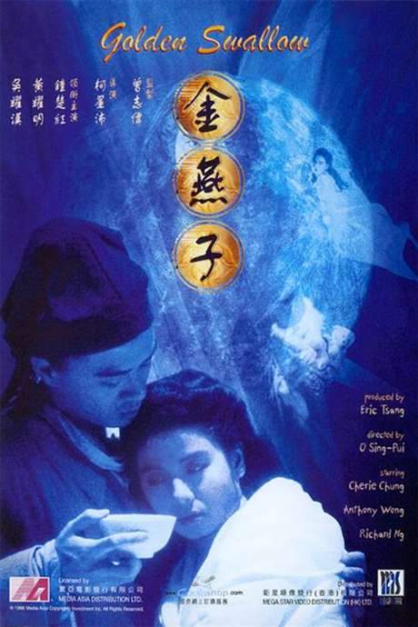 Golden Swallow (1987) movie poster