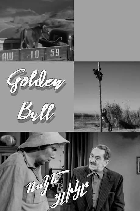 Golden Bull Calf (1955) movie poster