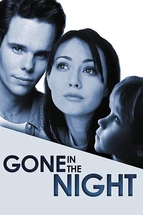 Gone in the Night (1996) movie poster