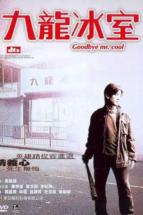 Goodbye, Mr. Cool (2001) movie poster