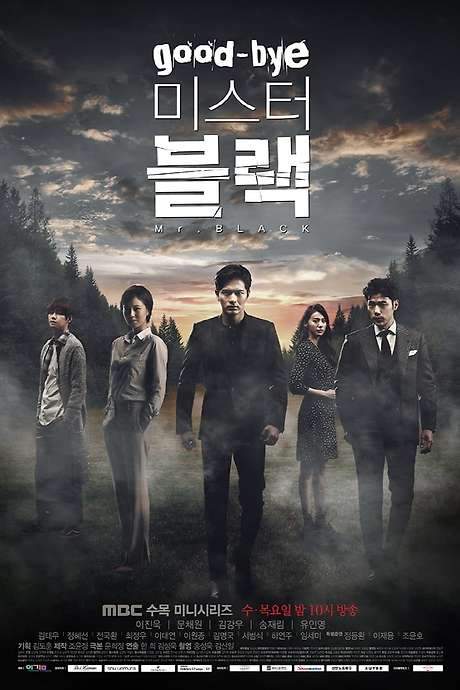 Goodbye Mr. Black (2016) movie poster