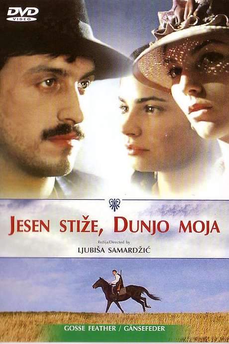 Goose Feather (2004) movie poster