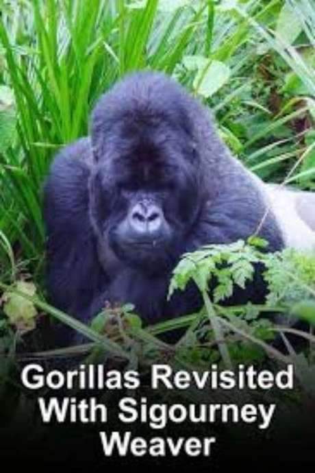Gorillas Revisited with Sigourney Weaver (2006) movie poster