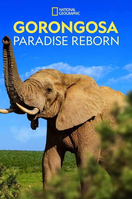 Gorongosa: Paradise Reborn (2022) movie poster