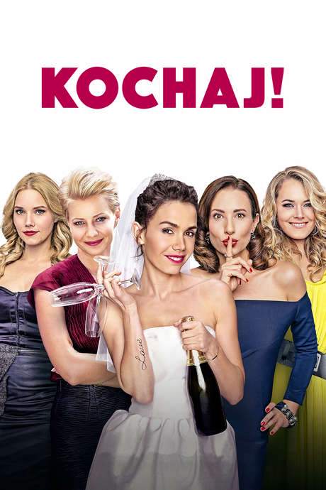 Got to Love (2016) movie poster