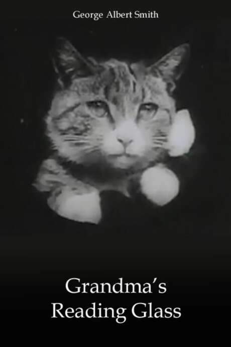 Grandma’s Reading Glass (1900) movie poster