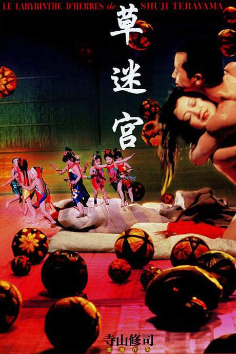 Grass Labyrinth (1979) movie poster