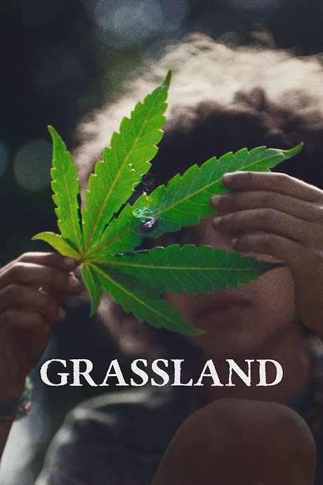 Grassland