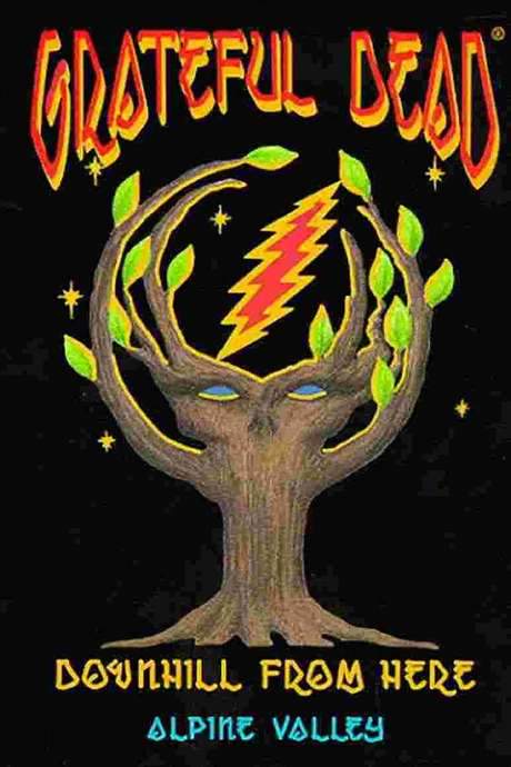 Grateful Dead: Downhill from Here (1989) movie poster