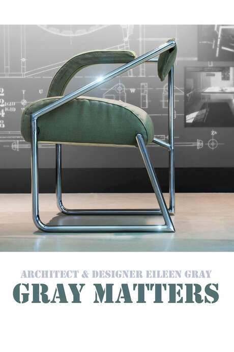 Gray Matters (2016) movie poster