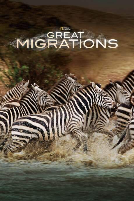 Great Migrations (2010) movie poster