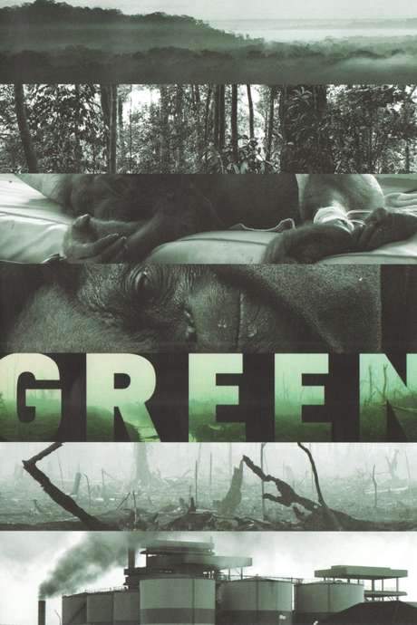 Green, a solitary female orangutan, roams a forest no longer her own, displaced by deforestation and resource exploitation. The film follows her poignant final days, offering a vivid visual journey that showcases the rich biodiversity of the rainforest while exposing the harsh consequences of logging and palm‑oil plantation expansion.