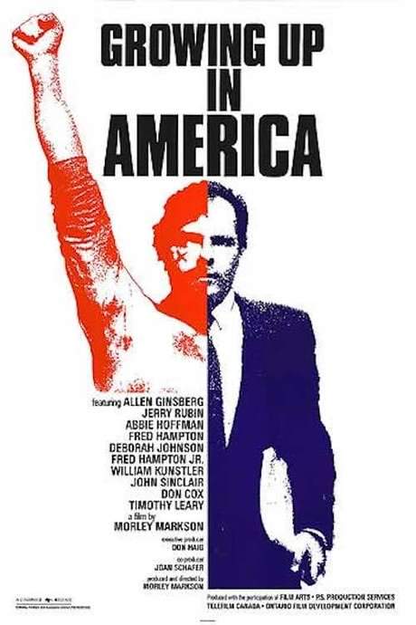 Growing Up in America (1988) movie poster