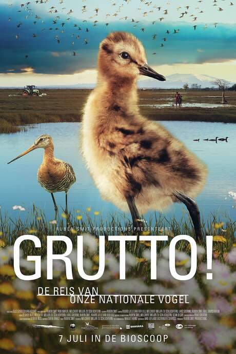 Grutto! De reis van onze nationale vogel (2022) movie poster