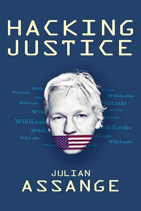Hacking Justice (2017) movie poster