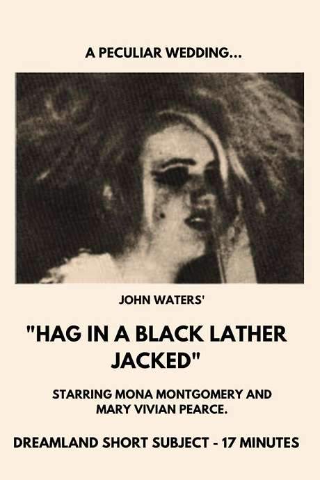 Hag in a Black Leather Jacket (1964) movie poster