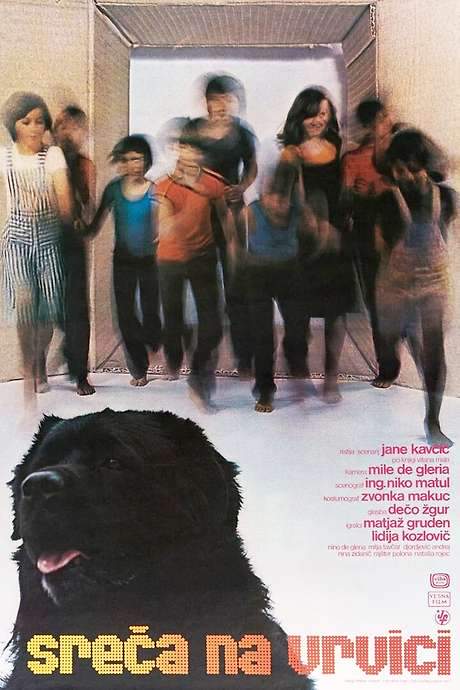 Hang on, Doggy (1977) movie poster