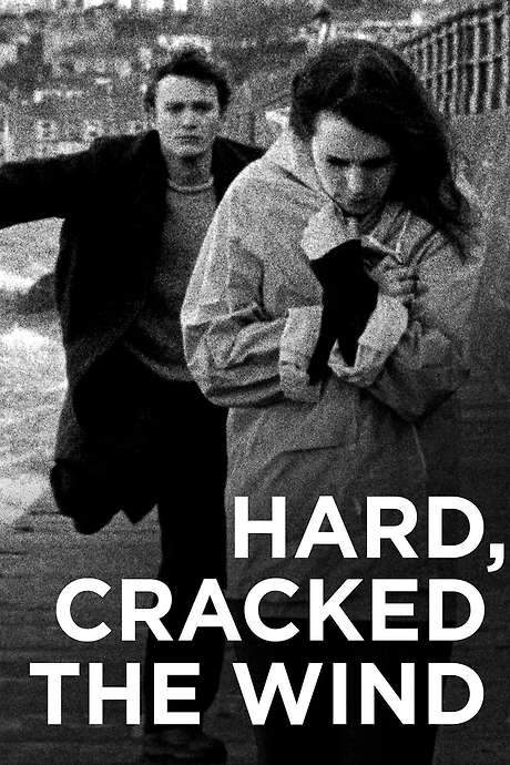 Hard, Cracked the Wind (2019) movie poster