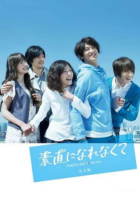 Hard to Say I Love You (2010) movie poster