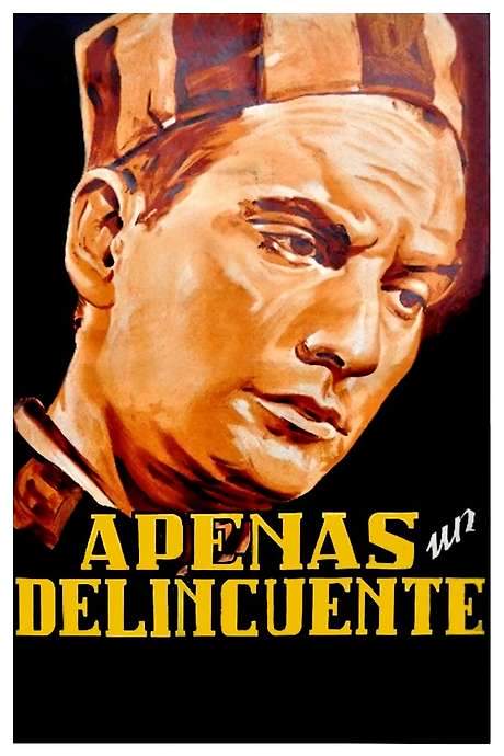 Hardly a Criminal (1949) movie poster