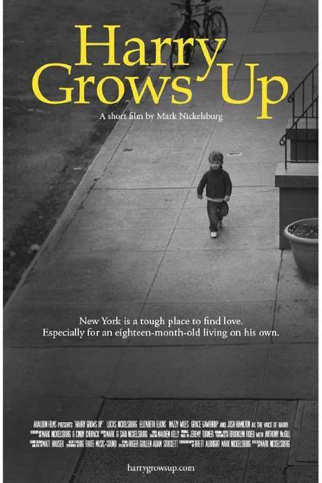 Harry Grows Up (2012) movie poster