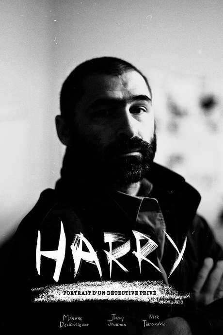 Harry: A Private Eye Documentary (2016) movie poster