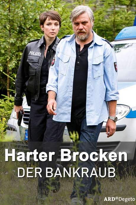 Harter Brocken: Der Bankraub (2017) movie poster