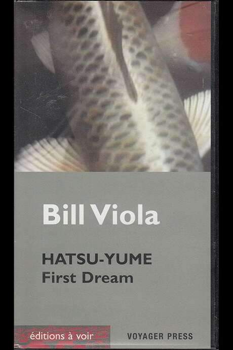 Hatsu Yume (First Dream) (1981) movie poster