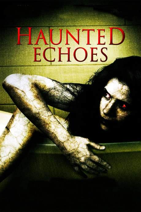 Haunted Echoes (2008) movie poster
