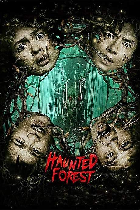 Haunted Forest (2017) movie poster