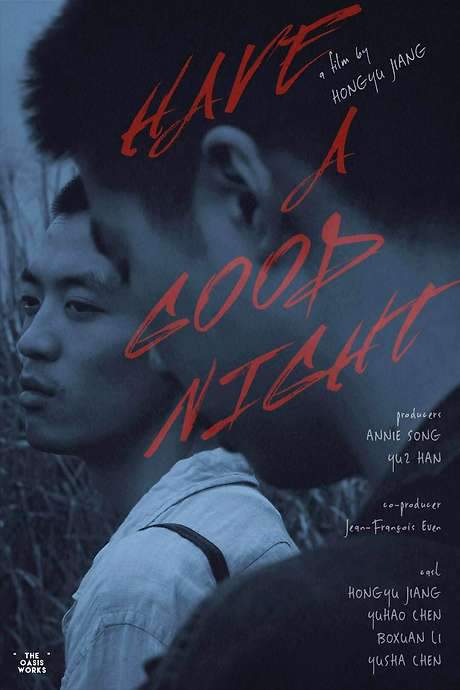 Have a Good Night (2020) movie poster