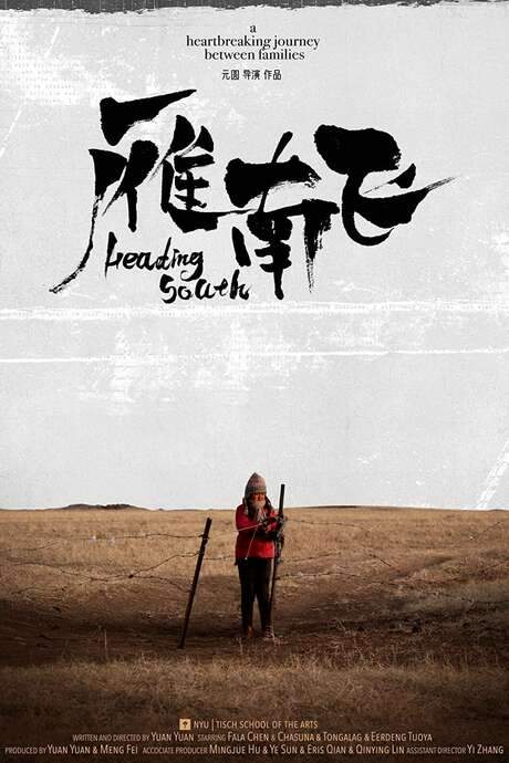 Heading South (2020) movie poster