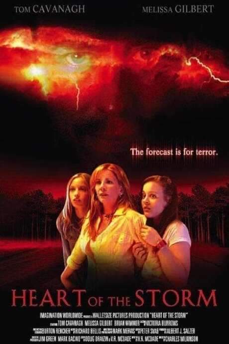 Heart of the Storm (2004) movie poster