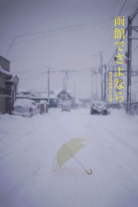 Hello in Hakodate (2019) movie poster