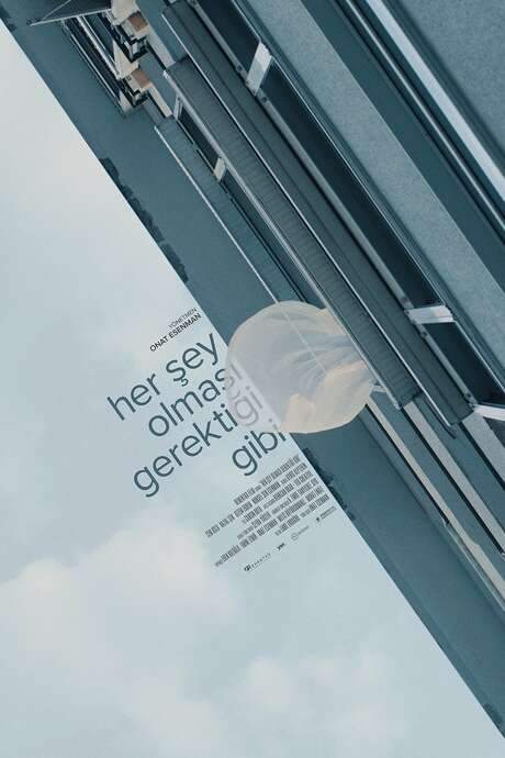Her Şey Olması Gerektiği Gibi (2021) movie poster