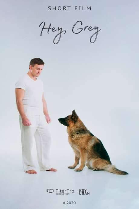 Hey, Grey (2020) movie poster