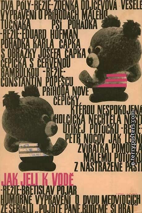 Hey, Mister, Let’s Play! How the Bears Went Swimming (1966) movie poster