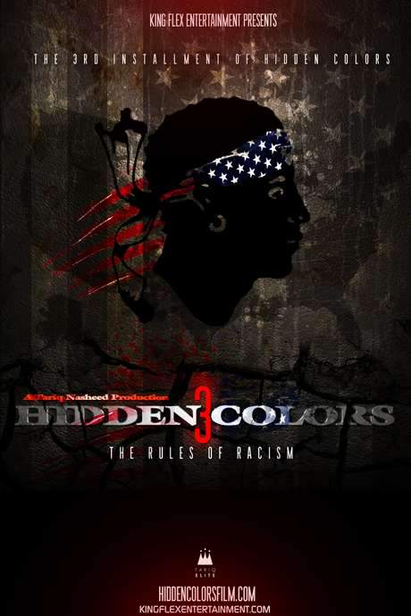 Hidden Colors 3: The Rules of Racism (2014) movie poster