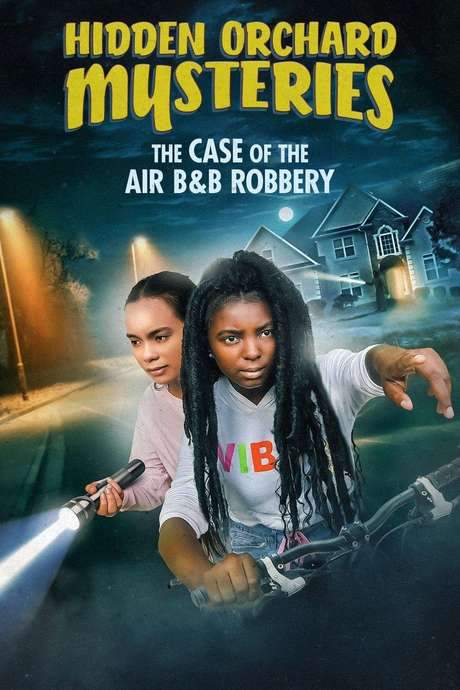 Hidden Orchard Mysteries: The Case of the Air B and B Robbery (2020) movie poster