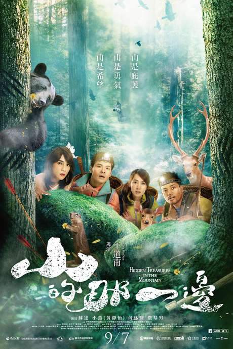 Hidden Treasures in the Mountain (2018) movie poster