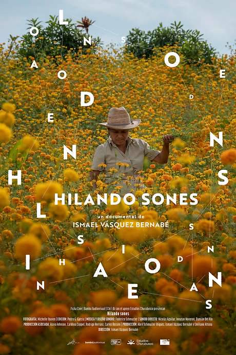 Hilando sones (2021) movie poster