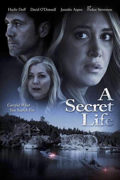 His Secret Family (2015) movie poster