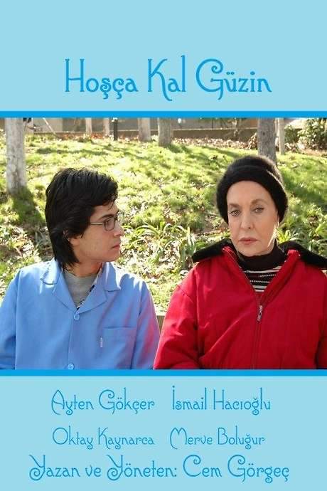Hoşça Kal Güzin (2008) movie poster