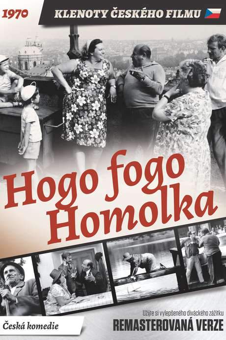Hogo Fogo Homolka (1971) movie poster
