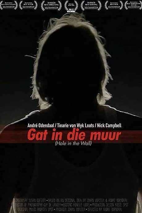 Hole In The Wall (2017) movie poster