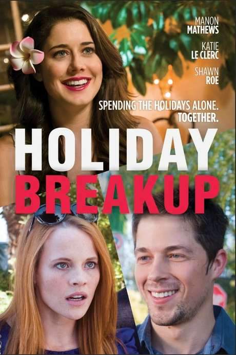 Holiday Breakup (2016) movie poster